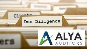 Due Diligence Audit