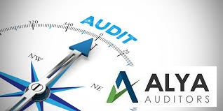 Financial Audit