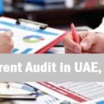 Concurrent Auditors in Dubai