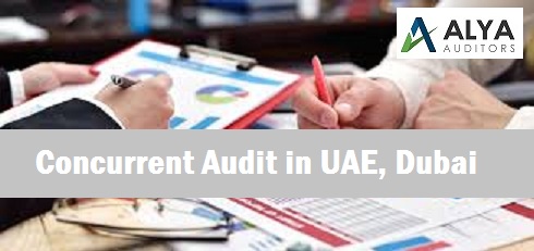 Concurrent Auditors in Dubai