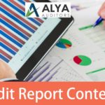 understanding audit-report-