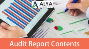 understanding audit-report-