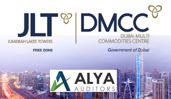 Dmcc business plan