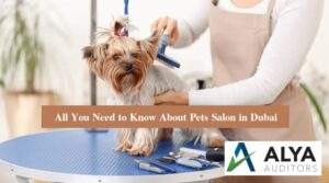 Pets Salon Business Setup in UAE