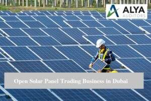 Solar Panel Trading Business in Dubai